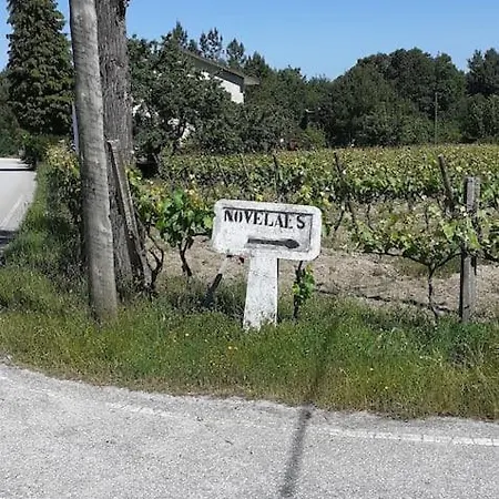 Casa Da Fonte Novelaes